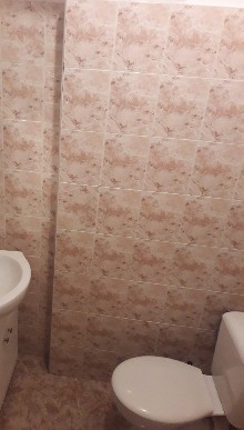 ,   - 